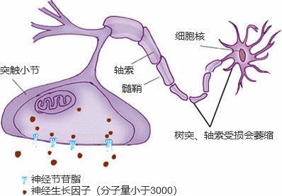 洗澡多了会虚吗,为什么洗澡的时候会变聪明