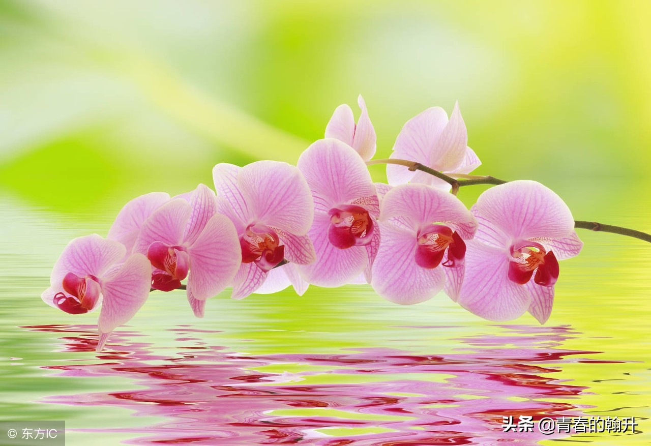 婆婆生日买了个礼物应该怎么说呢,婆婆生日快乐应该给他什么礼物呢