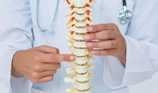 原来虾皮并不补钙,原来补钙也有讲究