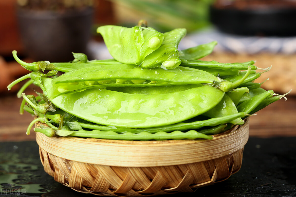 100张荷兰照片世界之最,人间天堂100张图片