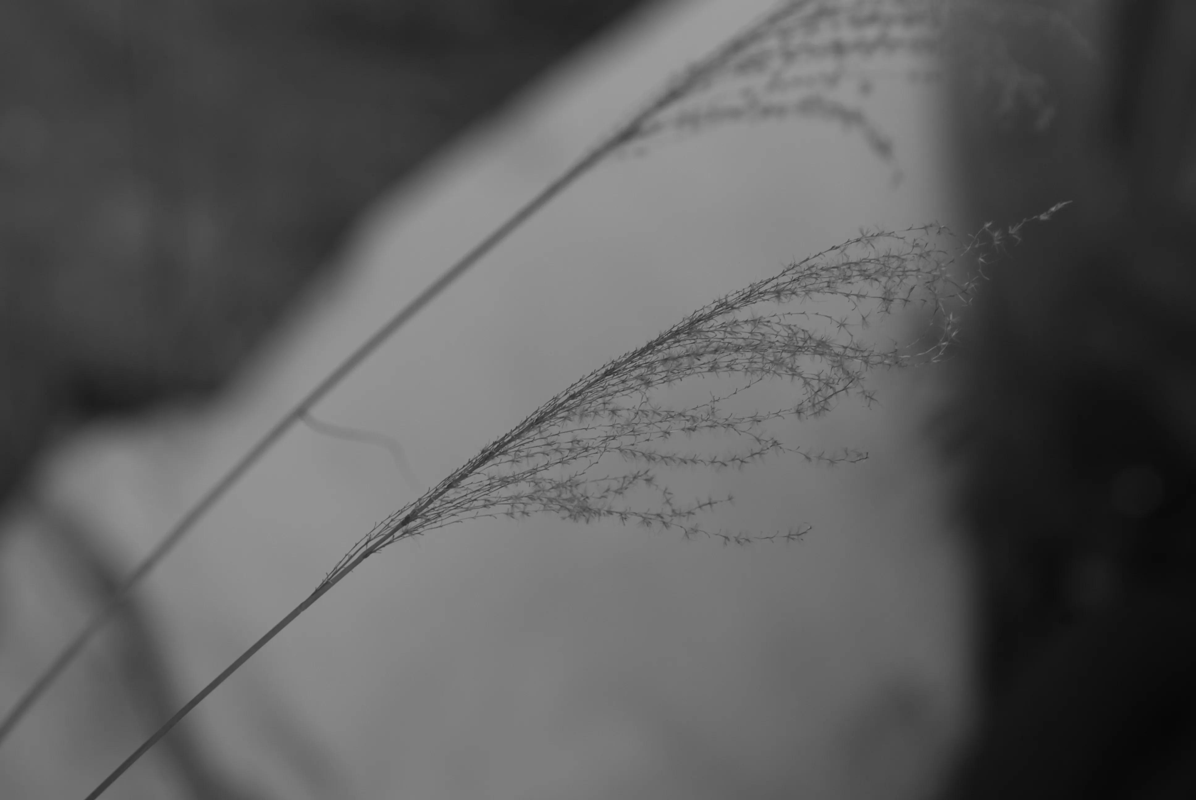 1000元二手全画幅单反相机推荐,2022最建议买的二手单反相机