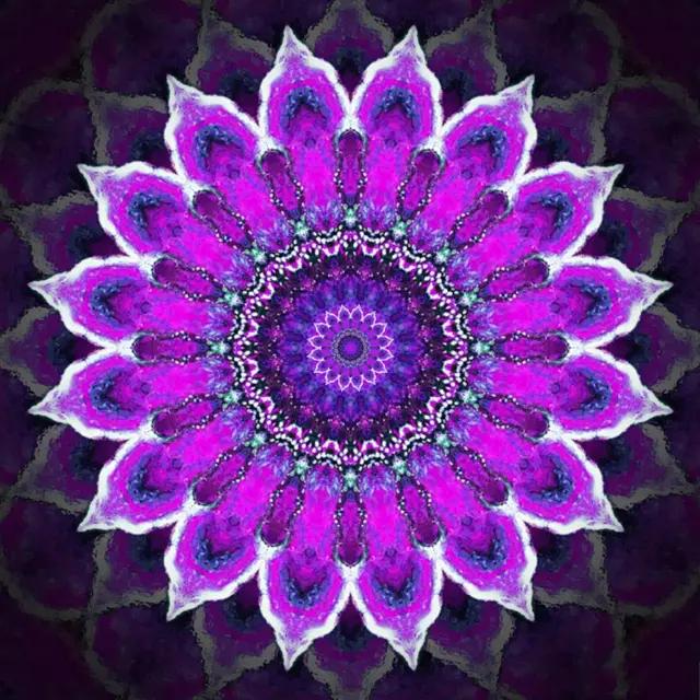 脉轮辉光拍摄,脉轮有科学依据吗