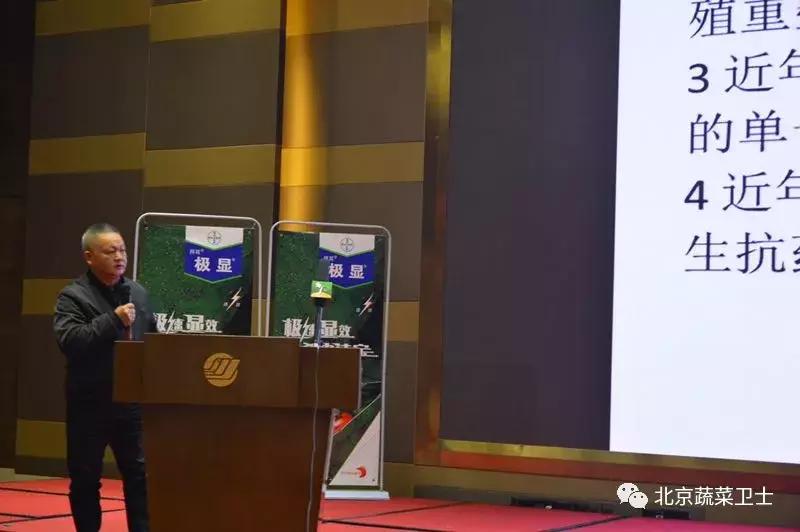 拜耳消杀白粉虱,拜耳治白粉虱特效药