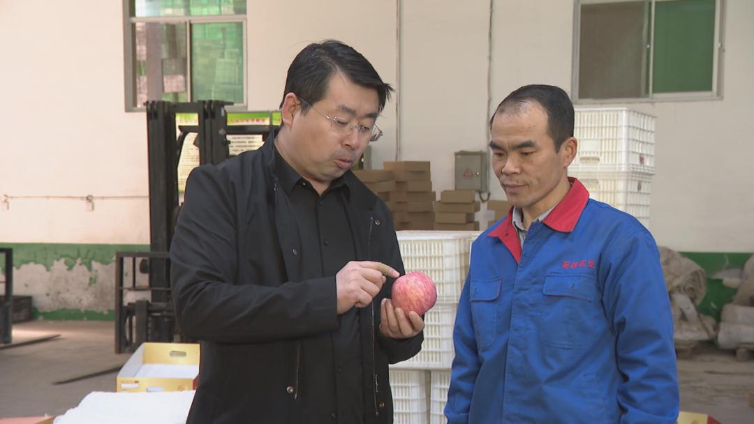 「脱贫路上的奋斗故事」刘锋：讲诚信善经营小苹果做出大产业