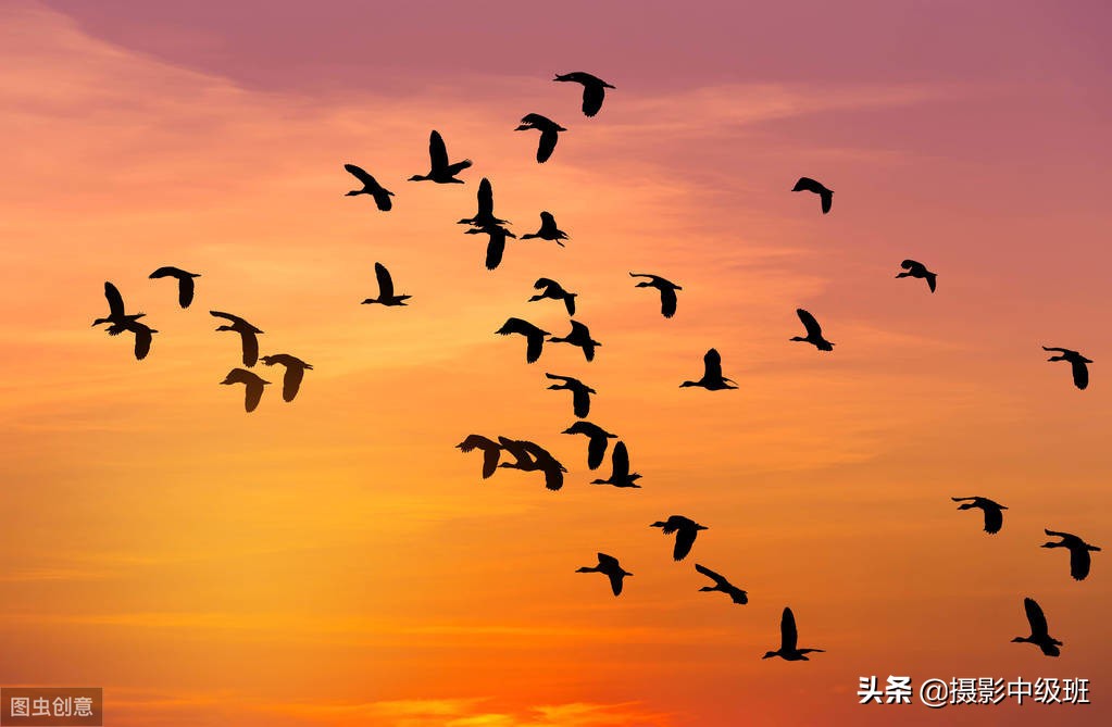 拍摄日落的技巧有哪些方法,拍摄日落有什么技巧