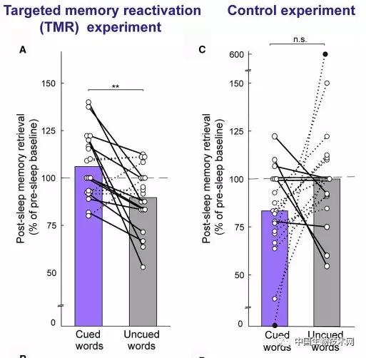 什么花香能够增加记忆力,玫瑰花香有助于记忆力吗