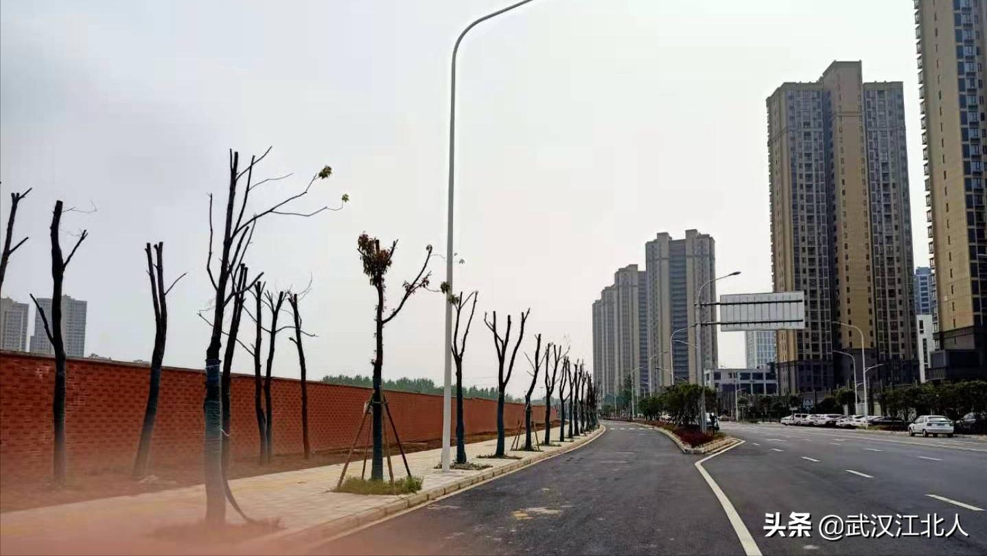 盘龙城体育公园规划,武汉盘龙城公园