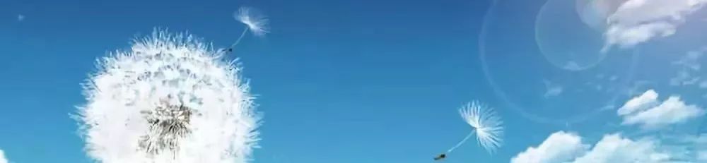 北医三院蒲公英有亮点，银屑病患友涨知识得福利，就在周日下午