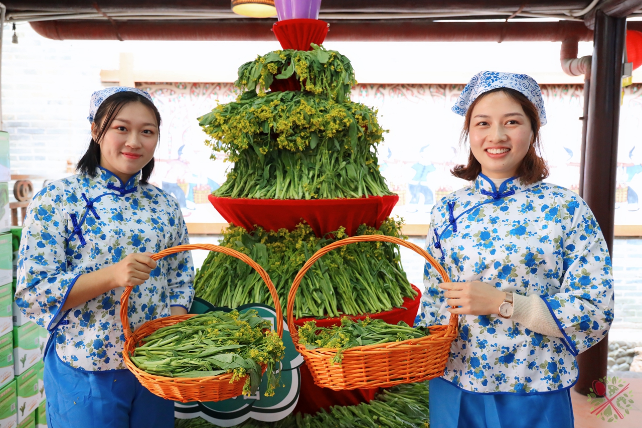 广东人过年必吃的青菜,广东人年夜饭必有的一道菜
