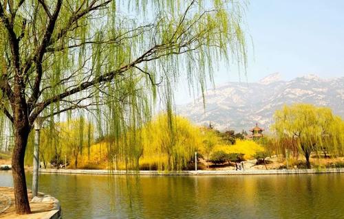 贺知章的所有写春天的古诗,贺知章幽默内涵经典诗词