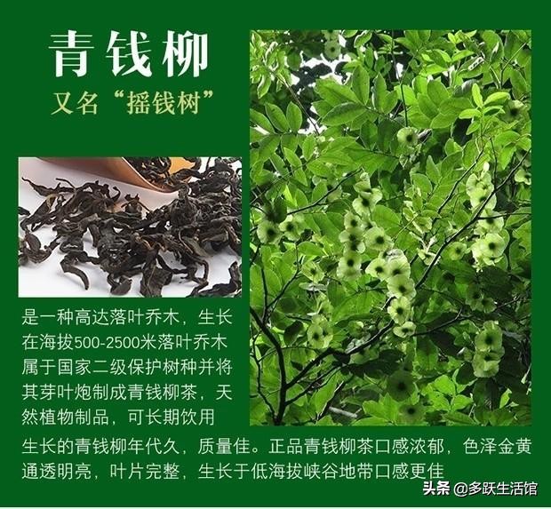 关于代用茶的知识,生活中必须知道的一些事