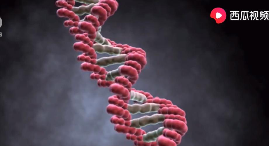 天网恢恢疏而不漏的网意思,天网恢恢疏而不漏的天网是什么