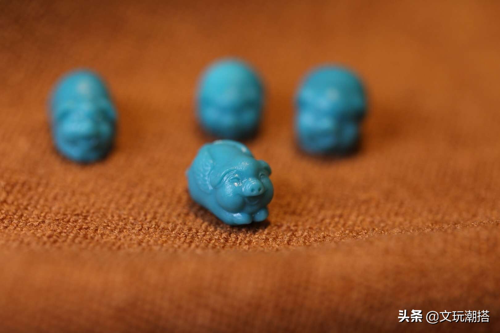 同样是猪同样好吃懒做,同样是猪为什么你这么好看