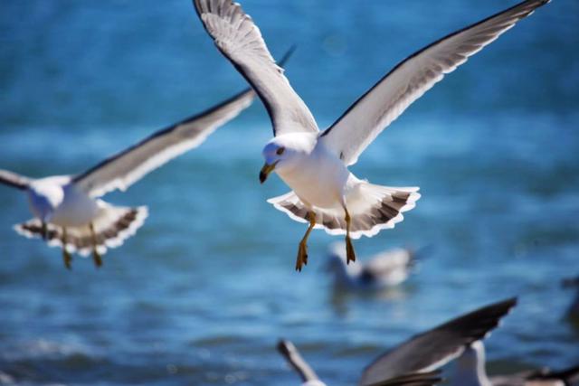 端午海岛旅游攻略,端午海岛游