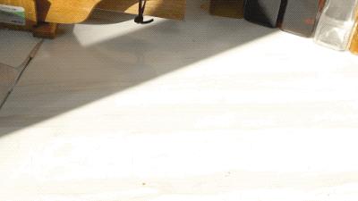 我局私藏的快手涮火锅心得，全在这一篇