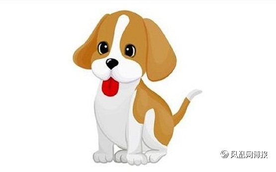 2019年犯太岁的生肖属相,2019年犯太岁严重的生肖