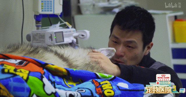 b站高分历史纪录片,2分钟一集的b站纪录片