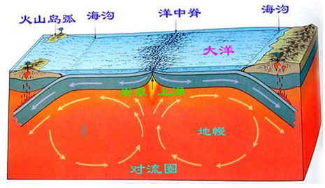 汶川大地震专家,汶川地震的地质专家和气象专家