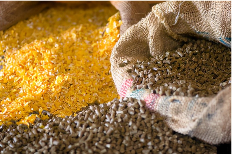 养猪如何利润最大化,养猪2023年亏损还会继续吗