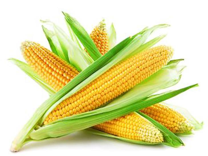 新奇水果玉米,新奇特水果合集