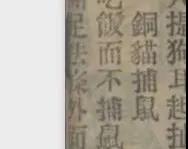 晚清末年,人们认为猫毛蓄电可以治病