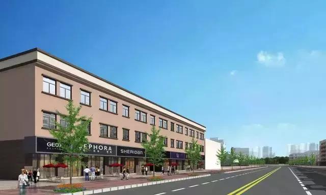 龙华2024重点项目清单,龙华2021第一批集中开工项目