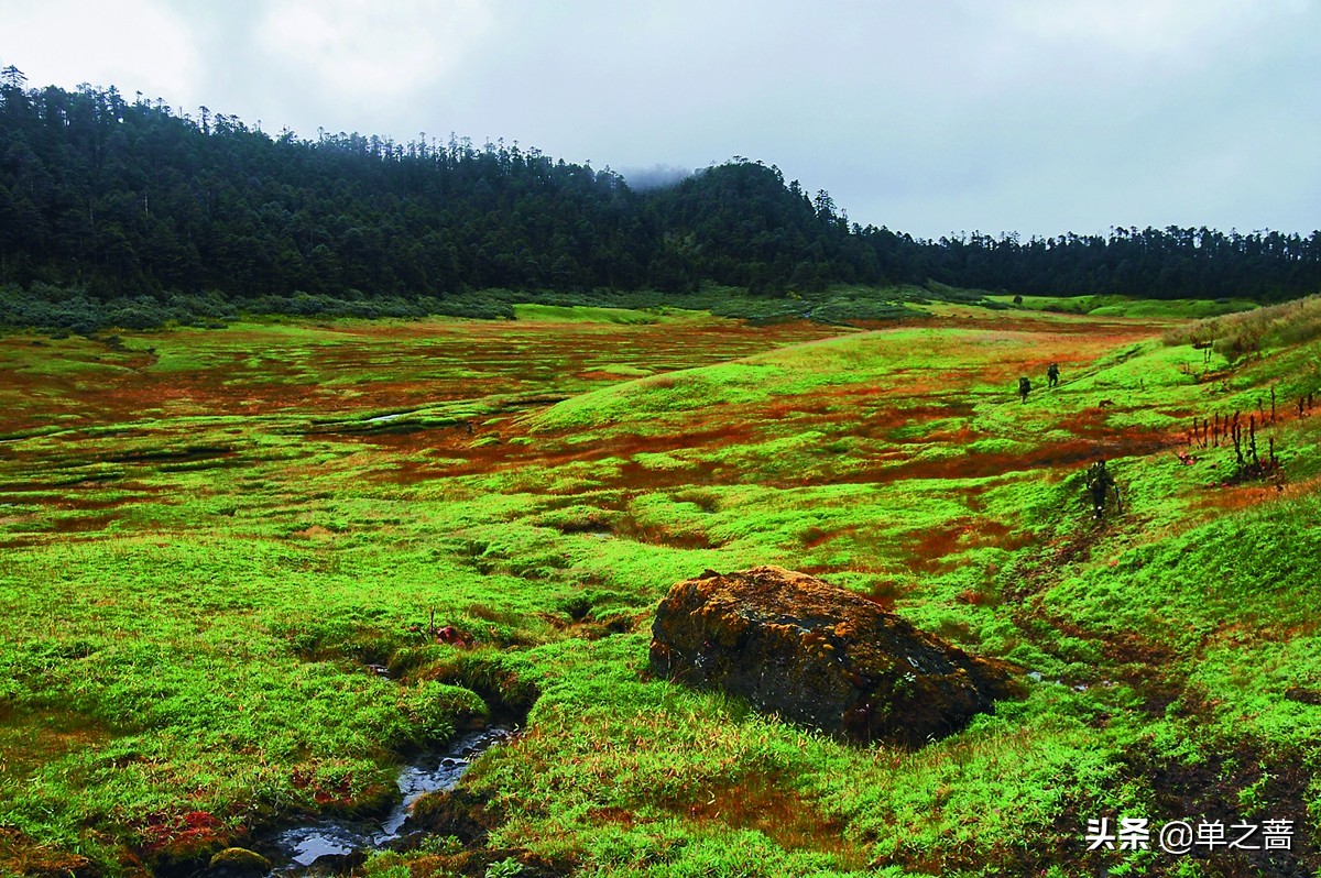 1962年中印战争究竟由谁挑起？一个英国记者用一本书给出公正回答