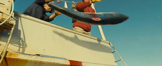 鱼翅是什么玩意儿,鱼翅是啥玩意儿