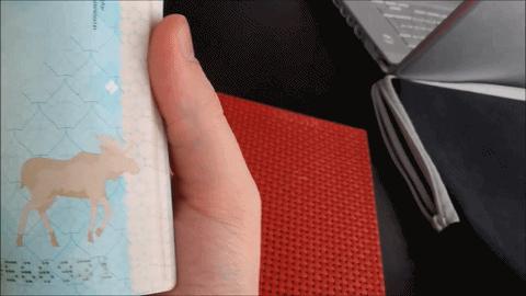 全球十大顶级国际护照,世界最美护照国家