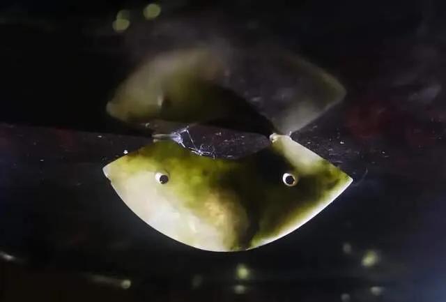 王者兵器玩具,王者猎人传奇玩具大全