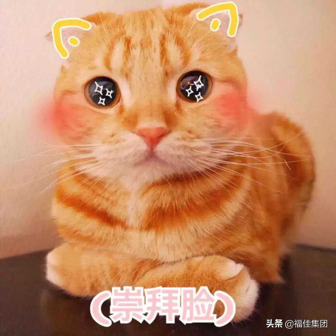 安奈儿新品特惠2折起,安奈儿折扣童装清仓