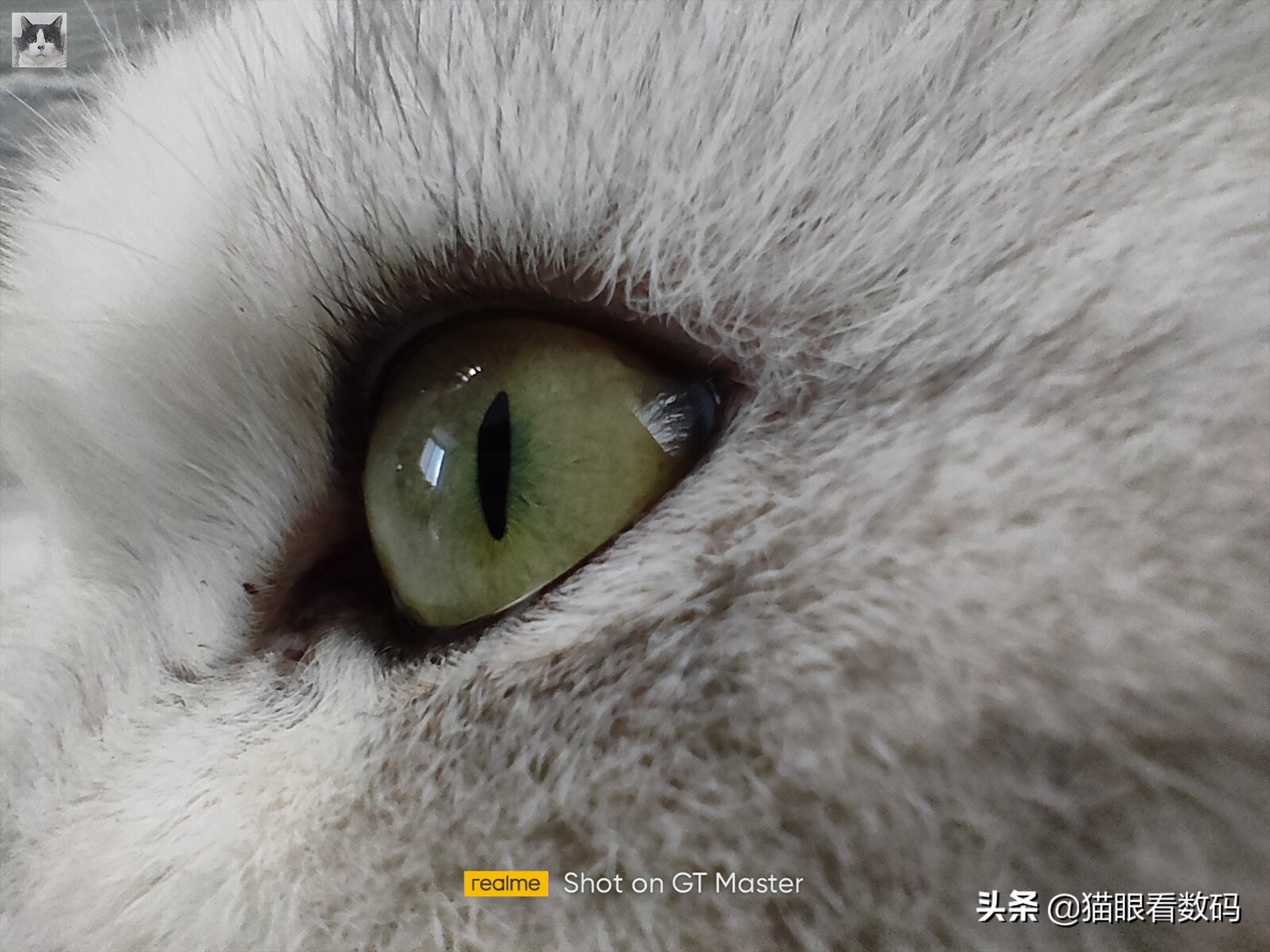 realme真我gt大师版拍视频,realme真我gt大师版探索版测评