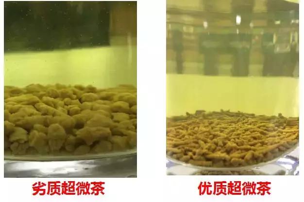 如何辨别苦荞茶的好坏,苦荞如何辨别好坏