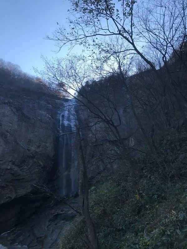 金寨为爱殉情,金寨牺牲了多少人