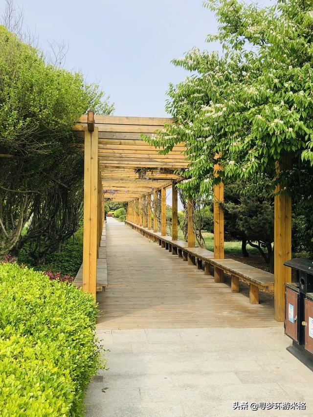 青岛的金沙滩和银沙滩哪个比较好,青岛金沙滩风景区简介