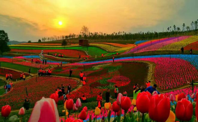 女神节礼物正在配送,江西明月山女神节免票活动开启