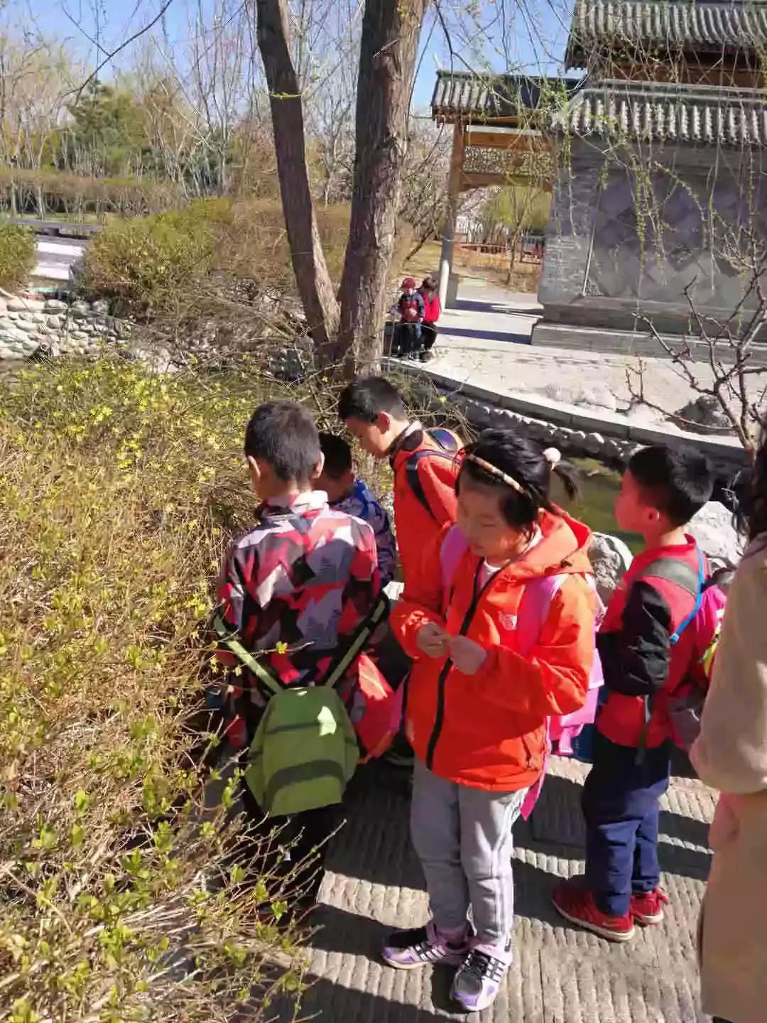 首都师范大学附属云岗小学:追溯北京古风韵遍寻春日俏风光