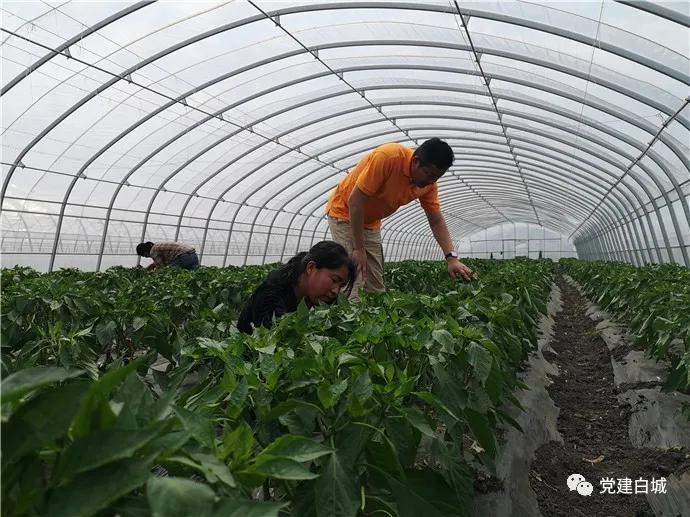 白城市洮北区洮河镇新发村第一书记范国辉:这里就是我的第二个家