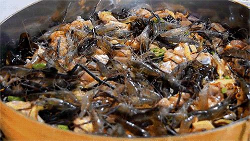 巨型虾入侵,罕见巨虾入侵