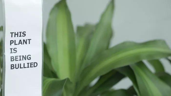 植物的能量和疗愈,植物的灵性和疗愈的力量