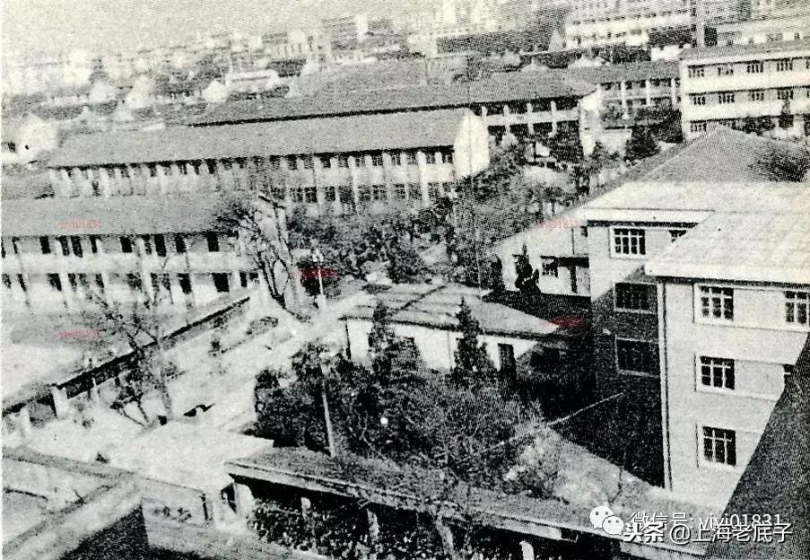 「南汇县篇」回望上世纪八九十年代的上海学校,有侬的母校伐?