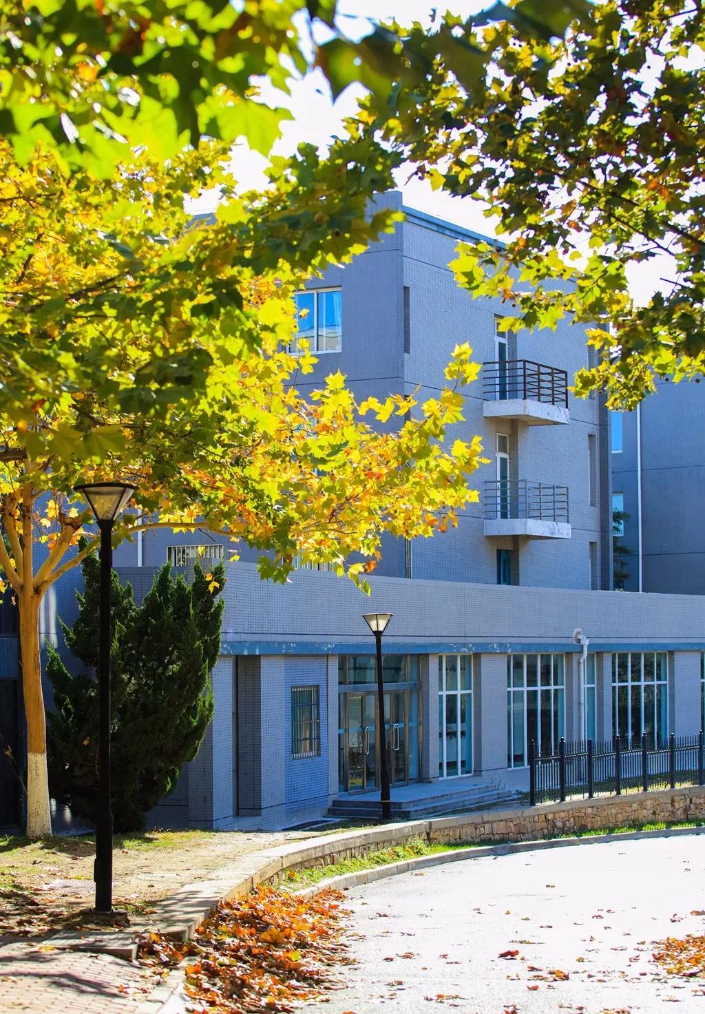 辽宁省民办大学（二）大连东软信息学院