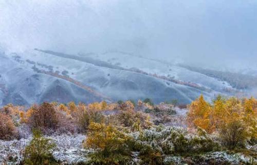 日本人来中国买东西，几乎都会满载而归，他们都买的啥？