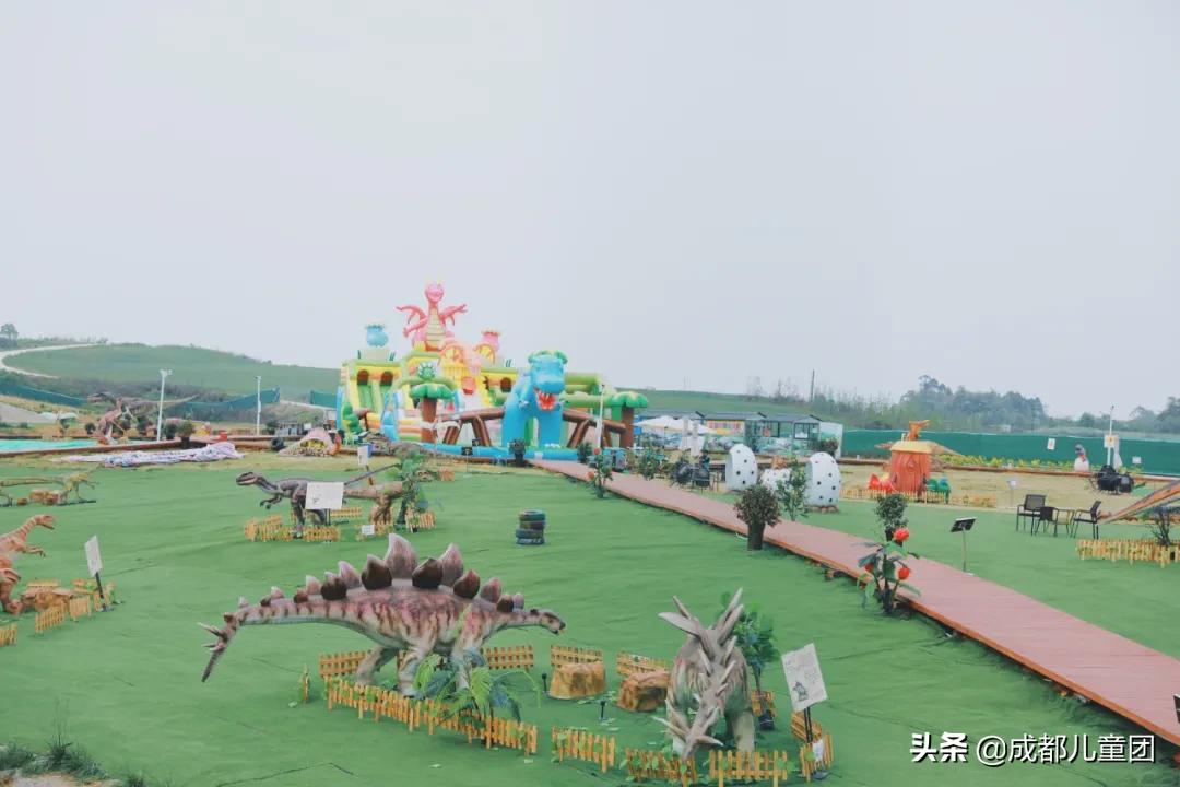 空港花田和空港体育公园哪个好,空港运动公园看飞机攻略