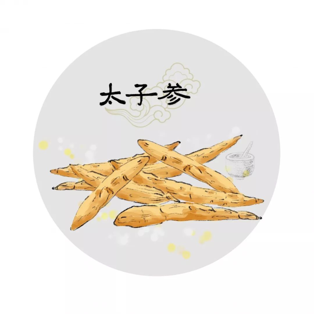 新开河参和高丽参功效有什么区别,什么中药和人参的功效一样