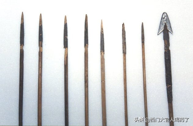 史上10种有毒的物质,10大致癌物有哪些