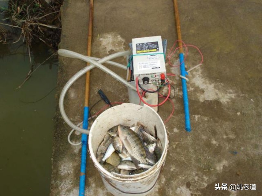 没收渔具当场销毁合法吗,没收渔具处罚合理吗