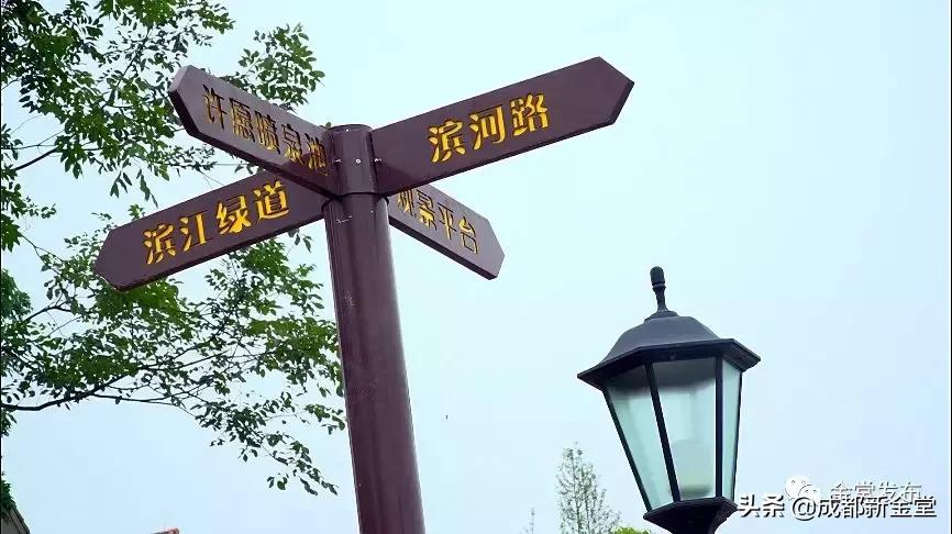 金堂人，你身边这条街已入选成都“最美街道”！