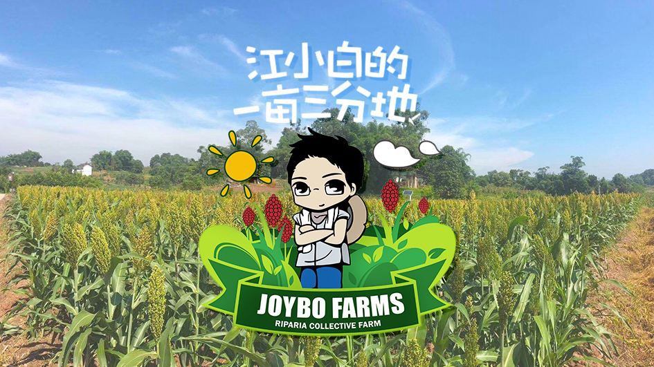 探秘！江小白的农业之梦（附2个战略布局）