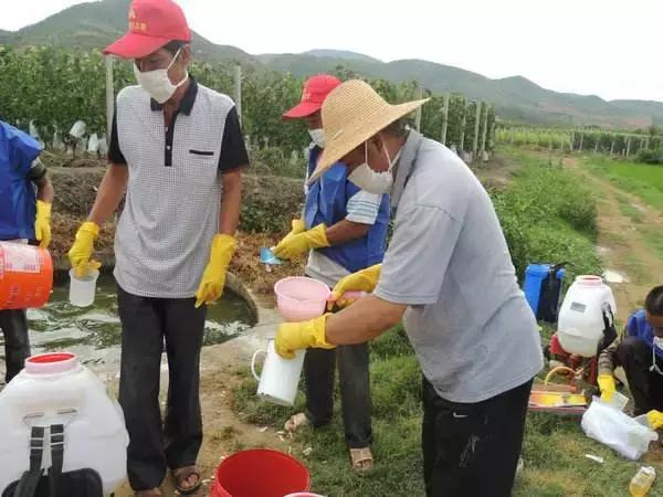 天然高效橙皮精油助剂,橙油助剂与有机硅助剂的区别